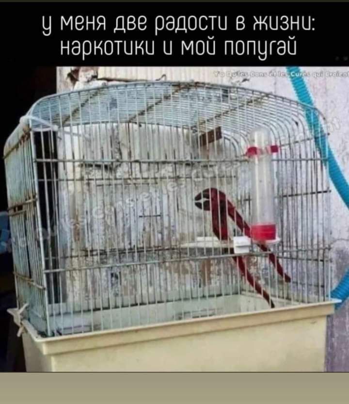 у меня ДВВ РЭДОСЁЦ В ЖЦЗЁЦ НЭРКОТЦКЦ Ц МОЦ ПОПЦГЗЦ