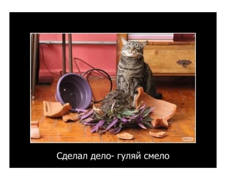 Сделал депо гуляй смело