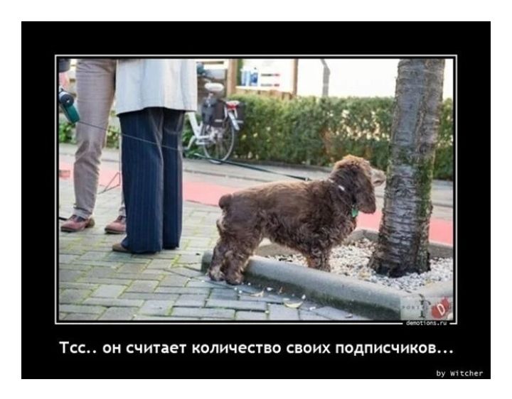 ТСС ОН считает КОЛИЧЕСТВО СВОИХ ПОДПИСЧИКОВ