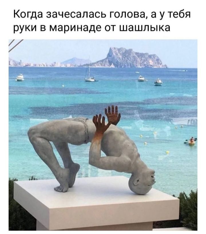 Когда зачесалась голова а у тебя руки в маринаде от шашлыка