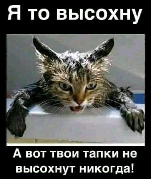 Я то высохну А вот твои тапки не высохнут никогда