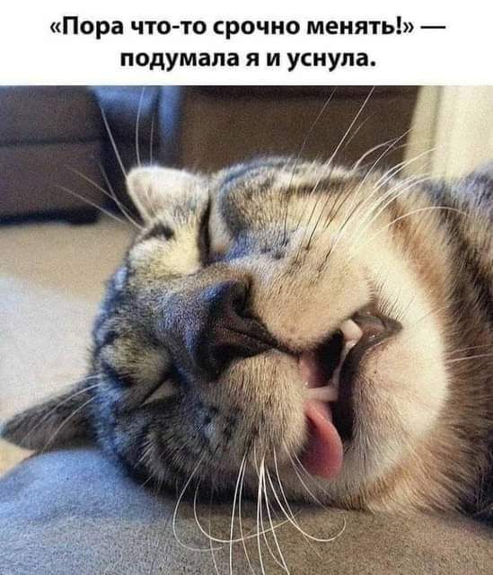 Пора что то срочно менять подумала я и уснула