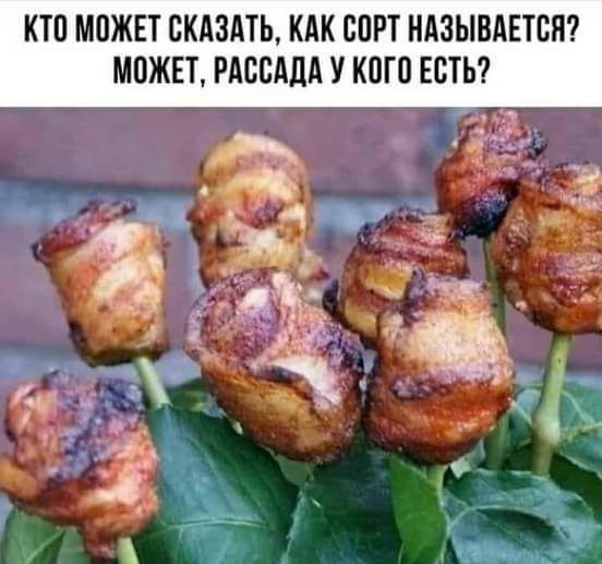 КТП МПЖЕТ СКАЗАТЬ КАК БПРТ НАЗЫВАЕТСЯ МВЖЕТ РАСПАЛА У КОГО ЕСТЬ