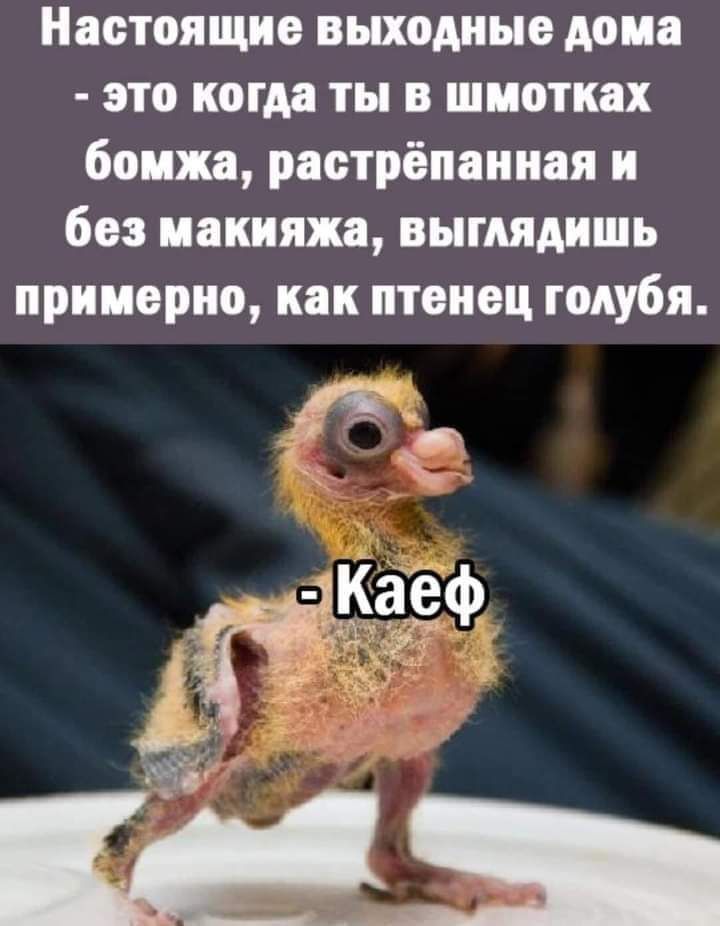 Настоящие выходные дома это когда ты в шмотках бомжа раетрёпанная и без макияжа выглядишь примерно как птенец голубя