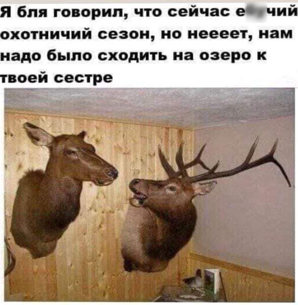 бпя говорил что сейчас ебучий хотничий сезон ио неееет нам надо было сходить на озеро к