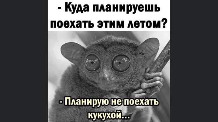 Куда планируешь поехать этим летом