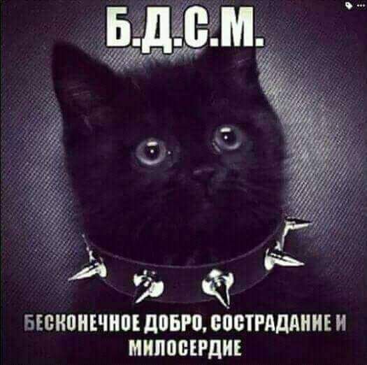 БЕВНПНЕЧНП довго ВПСТРАДАНИЕ и МИПВЫРДИЕ
