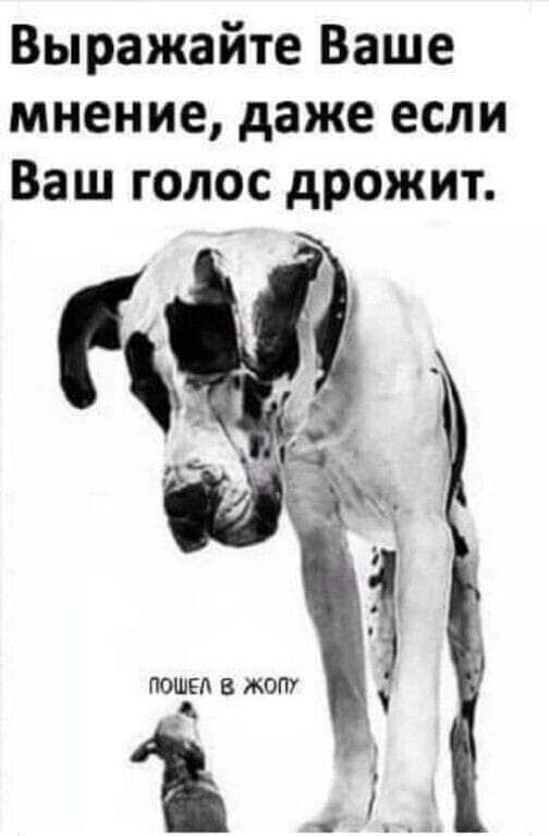 Выражайте Ваше мнение даже если Ваш голос дрожит