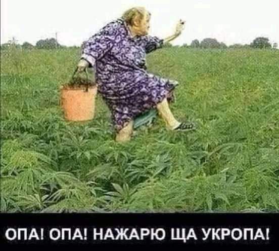 ОПА ОПА НАЖАРЮ ЩА УКРОПА