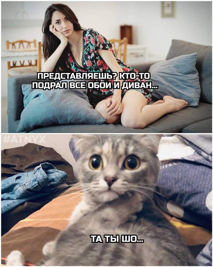 предстд яЁшьэ ктЬтп падрАл в пвби