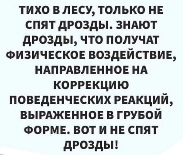 тихо в лесу только нв спят дрозды зндют дрозды что получм Физичвсков воздействие ндпрдвлнннов НА коррнкцию поведЕнчнских РЕАКЦИЙ вымжвннов в грувой ФОРМЕ вот и НЕ спят дроздьп