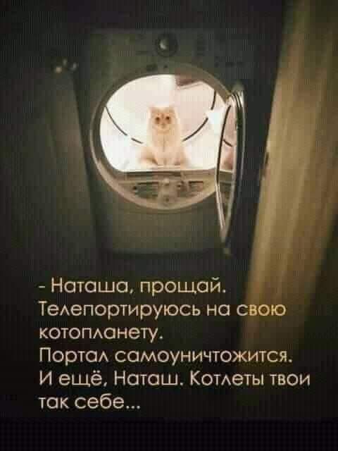 Наташа прощай ТеАепортируюсь но с то котопиюнету Порте сомоуничтожится И ещё Нотош Кометы твои так себе