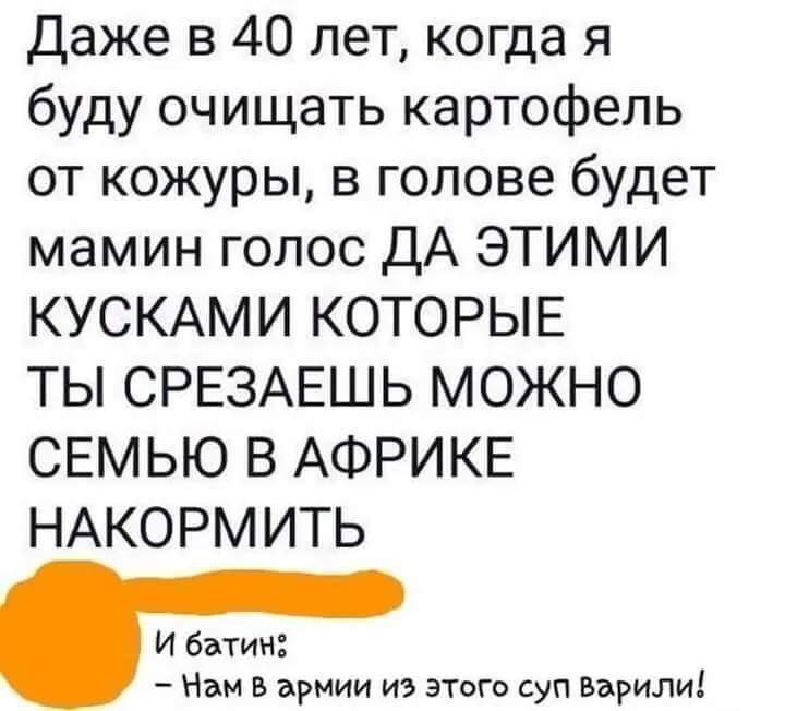 Даже в 40 лет когда я буду очищать картофель от кожуры в голове будет мамин голос ДА ЭТИМИ КУСКАМИ КОТОРЫЕ ТЫ СРЕЗАЕШЬ МОЖНО СЕМЬЮ В АФРИКЕ НАКОРМИТЬ И батин Нам в армии из этого суп Варили