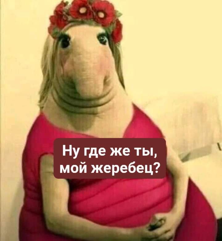 и Ну где же ты _ мой жеребец 1_