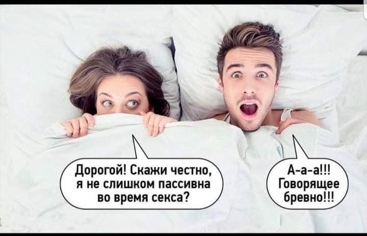 дорогой Скажи честно я не слишком пассивка во время секса Говорящее бревно