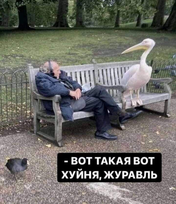 воттдкдя вот _ ХУЙНЯЖУРАВЛЬ