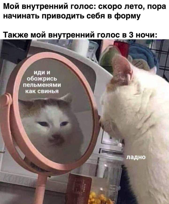 Мой внутренний голос скоро лето пора начинать приводить себя в форму Также мой внтренний голос в 3 ночи иди и обожрись пельменями как свинья