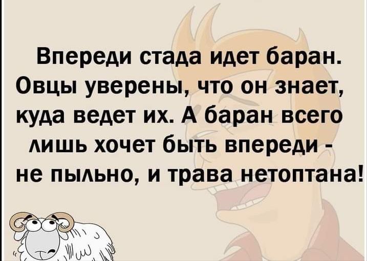 Впереди стада идет баран Овцы уверены что он знает куда ведет их А баран всего АИШЬ хочет быть впереди не пыдьно и трава нетоптана ёёё э а