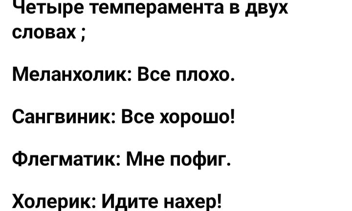 Четыре темперамента В двух словах Меланхолик Все плохо Сангвиник Все хорошо Флегматик Мне пофиг Холерик Идите нахер