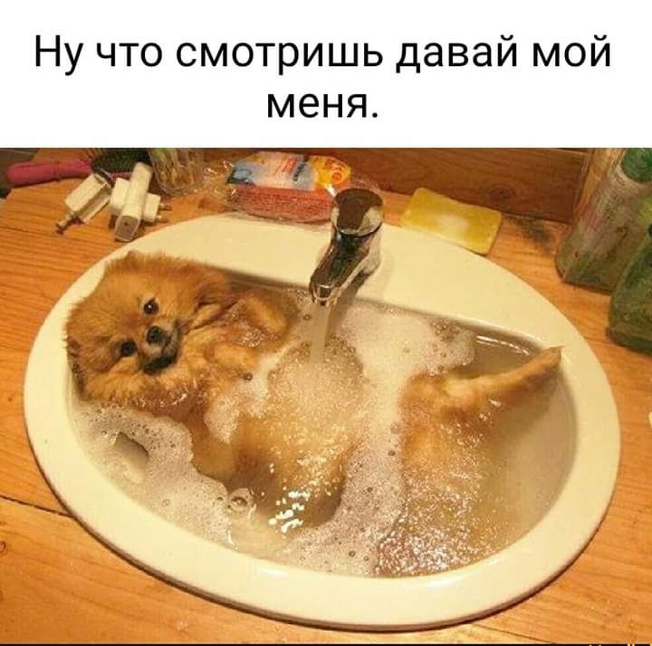 Ну что смотришь давай мой меня