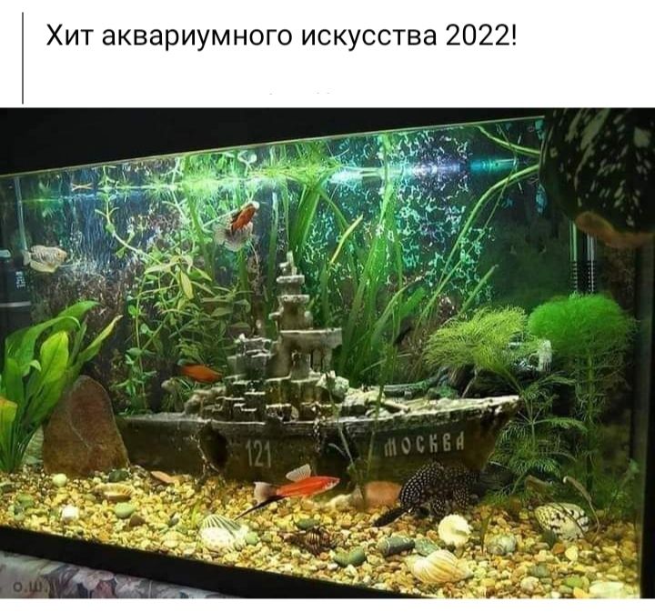 Хит аквариумного искусства 2022