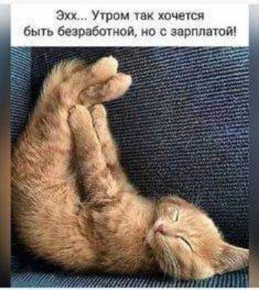 эхх Угром чак хочешя быть Безработной но с зарплатой