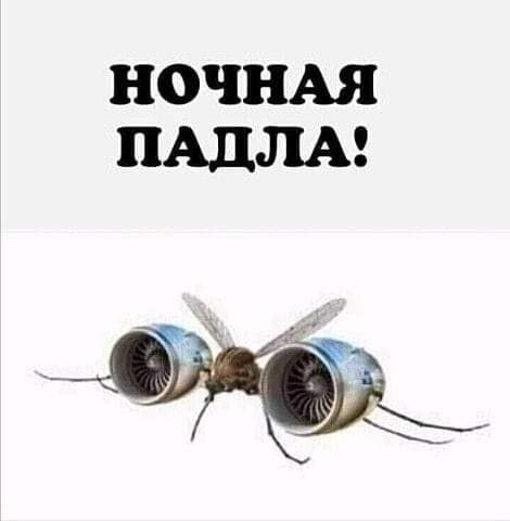 НОЧНАЯ ПАДЛА