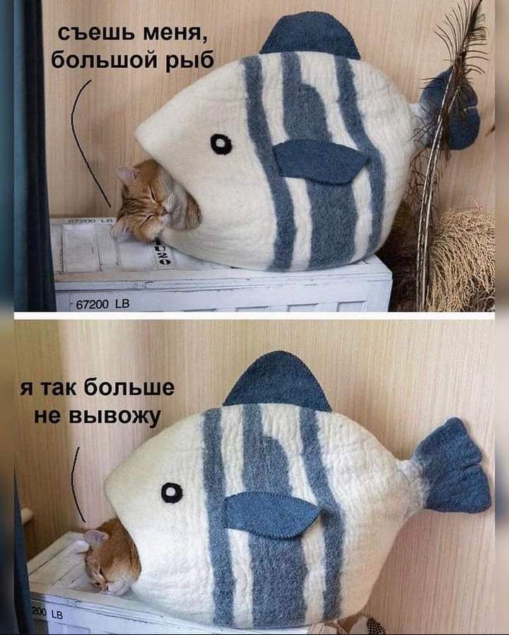 съешь меня большой рыб я так больше вьпвожм