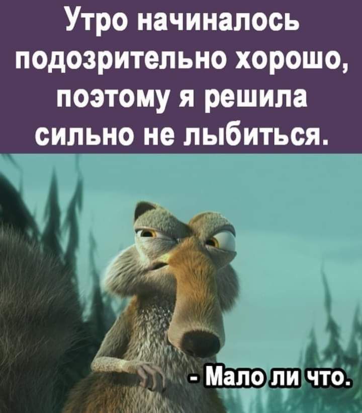 Утро начиналось подозрительно хорошо поэтому я решила сильно не лыбиться мало ли что