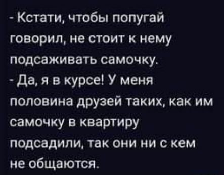 Кстати чтобы попугай говорил не стоит к нему подсаживать самочку Да я в курсе У меня половина друзей таких как им самочку в квартиру подсадили так они ни с кем не общаются