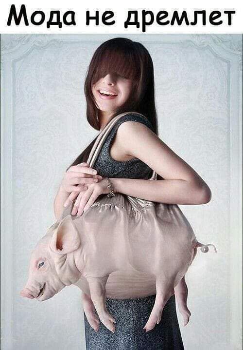 Мода не дремлет