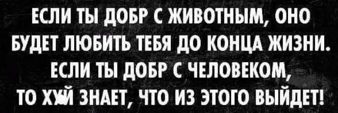 ЕСЛИ ты дОБР С ЖИВОТНЫМ ОНО БУДЕТ ЛЮБИТЬ ТЕБЯ дО КОНЦА ЖИЗНИ ЕСЛИ ты дОБР С ЧЕЛОВЕКОМ ТО ХЙ ЗНАЕТ ЧТО ИЗ ЭТОТО ВЫЙДЕТ
