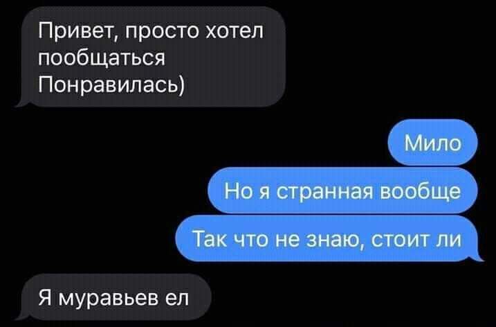 Привет просто хотел пообщаться Понравилась Я муравьев ел