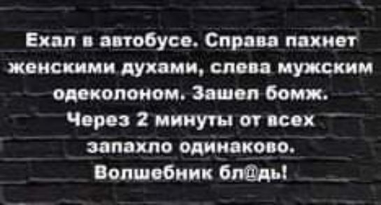 Ехал автобусе Сир п пышет женскими духами слеп птицы испокон Зашел бомж Чиро 2 минут от всех запкпо минном Волшебник оладьи