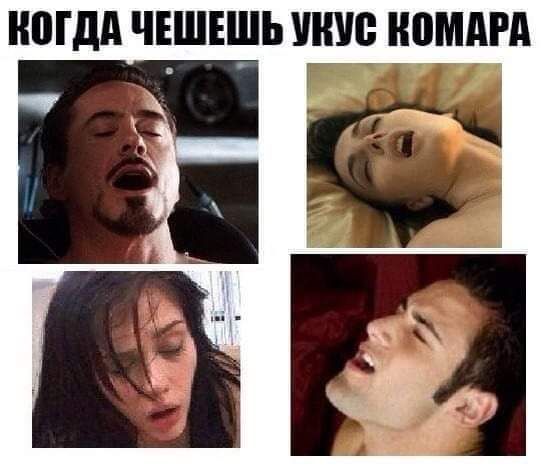 Юдд ЧЕШЕШЬ ШШ НПММА