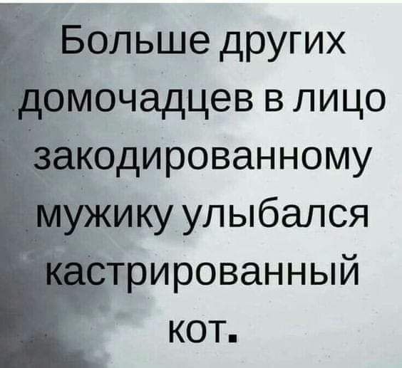 Больше других очадцев в лицо одированному ику улыбался рированный кот