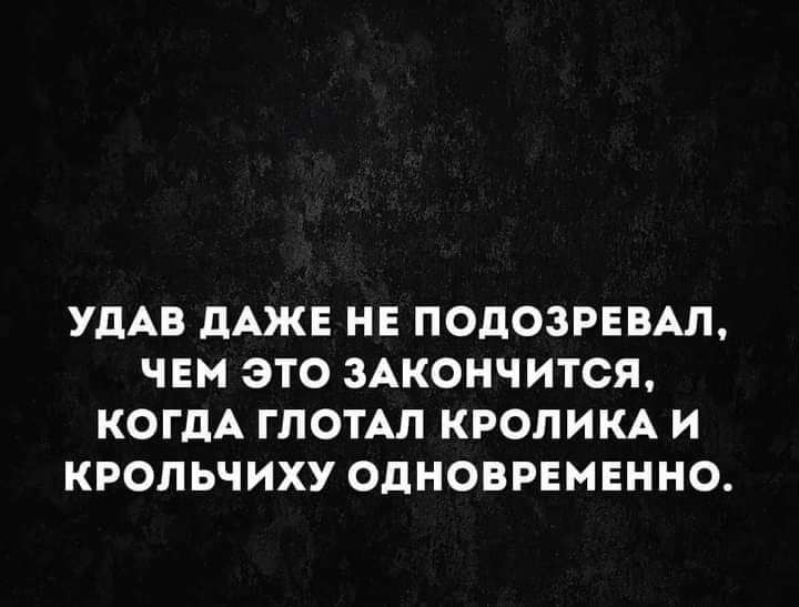 УДАВ дАЖЕ НЕ ПОДОЗРЕВАЛ ЧЕМ ЭТО ЗАКОНЧИТСЯ КОГДА ГЛОТАЛ КРОЛИКА И КРОЛЬЧИХУ ОДНОВРЕМЕННО