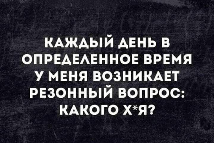 КАЖАЫЙ АЕНЬ в ОПРЕАЕАЕННОЕ время у меня вознимвт резонный вопрос КАКОГО хяті