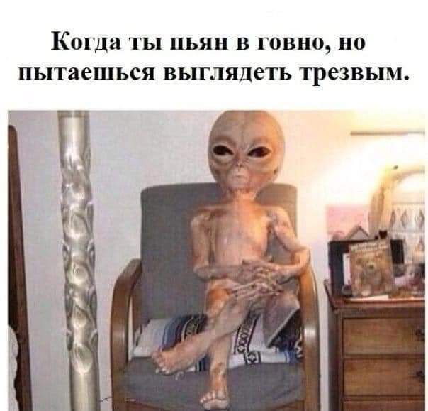 Когда ТЫ пьян В говно но пытаешься выглядеть трезвым