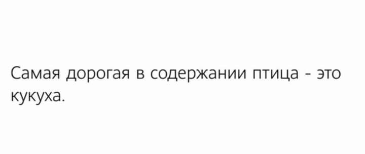 Самая дорогая в содержании птица это кукуха
