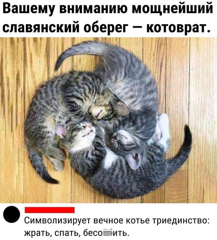 Вашему вниманию мощнейший спавицский оберег котоврат Ё Символизирует вечное котье триединства жрать спать бесоэить
