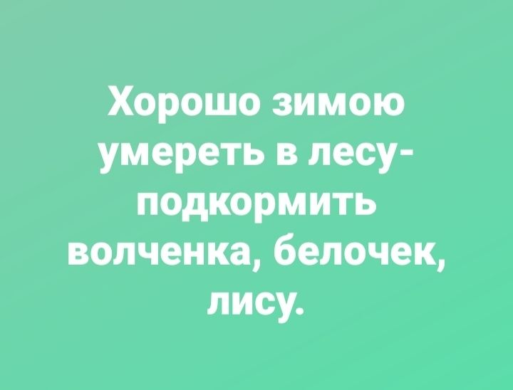 Хорошо зимою умереть в лесу подкормить вопченка 6епочек лису