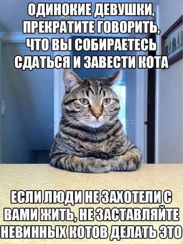 _чтпвысовивАЕтюь ВДМЬВЦ ЗАВЕСТИ ПТА