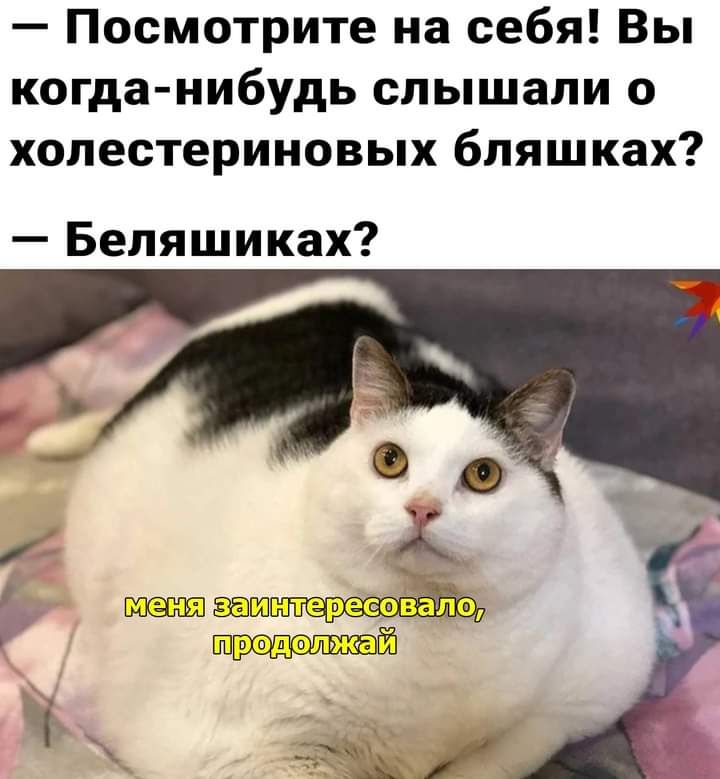 Посмотрите на себя Вы когда нибудь слышали о хопестериновых бляшках Беляшиках названиями ъ Щ