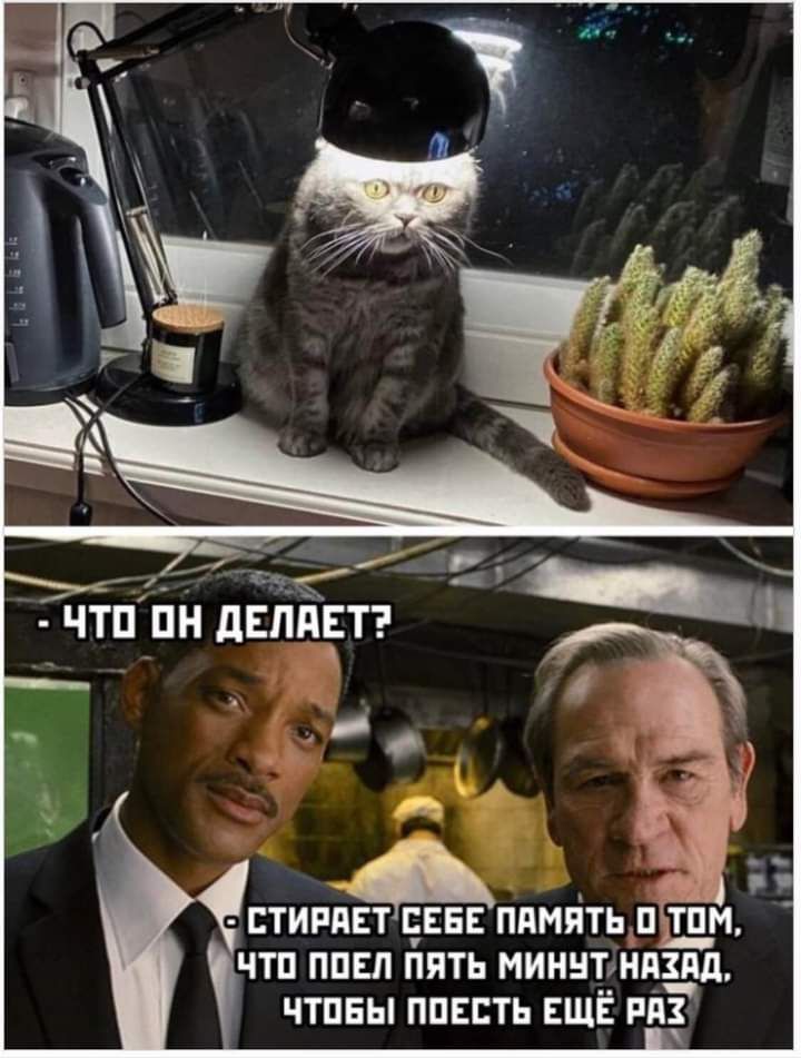 _ СТИРПЕТЕЕЕЕ ППМПТЬ пТПМ ЧТП ППЕЛ ПЯТЬ МИИНЪНПЗЩ ЧТПЕЫ ППЕЕТЬ ЕЩЁ РП