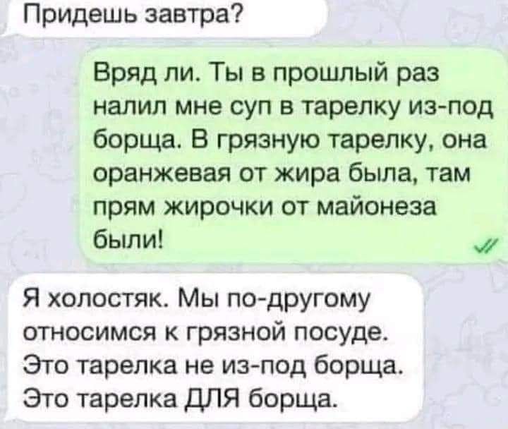 Придешь завтра Вряд ли Ты в прошлый раз налил мне суп в тарелку из под борща В грязную тарелку она оранжевая от жира была там прям жирочки от майонеза были Я холостяк Мы по другому относимся к грязной посуде Это тарелка не из под борща Это тарелка ДЛЯ борща