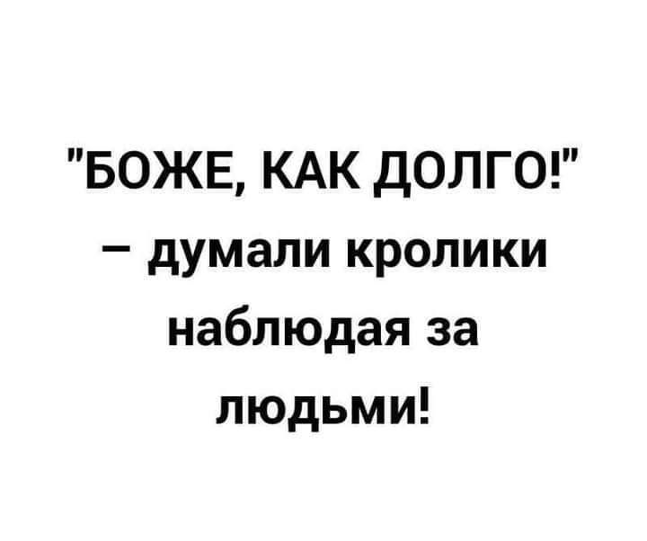 БОЖЕ КАК ДОЛГО думали кролики наблюдая за людьми