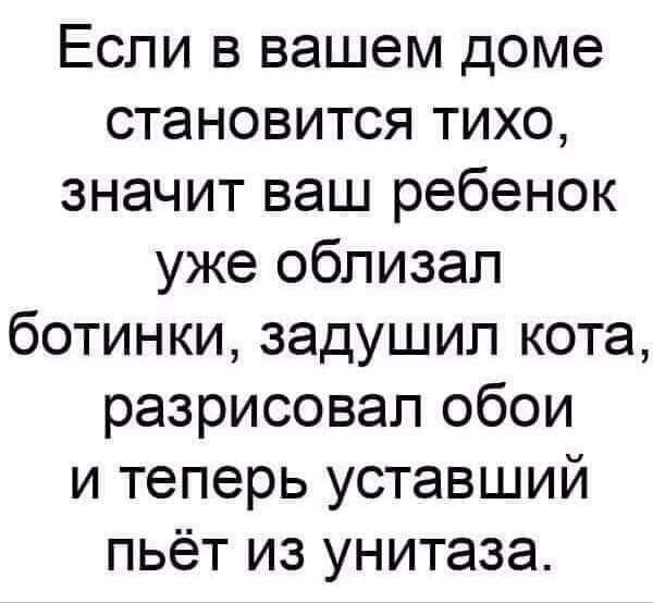 Если в вашем доме становится тихо значит ваш ребенок уже облизал ботинки задушил кота разрисовап обои и теперь уставший пьёт из унитаза