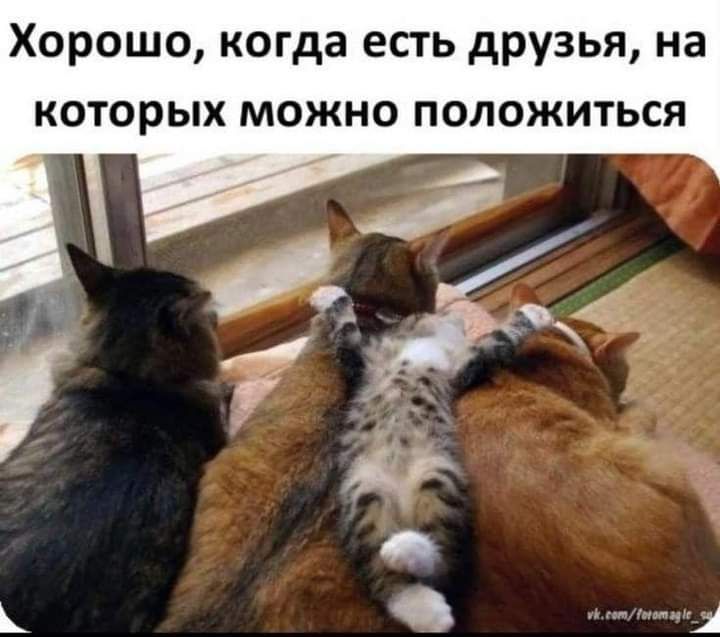 Хорошо когда есть друзья на которых можно положиться
