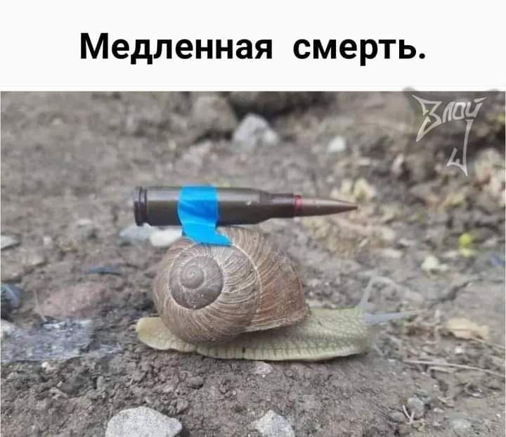 Медленная смерть